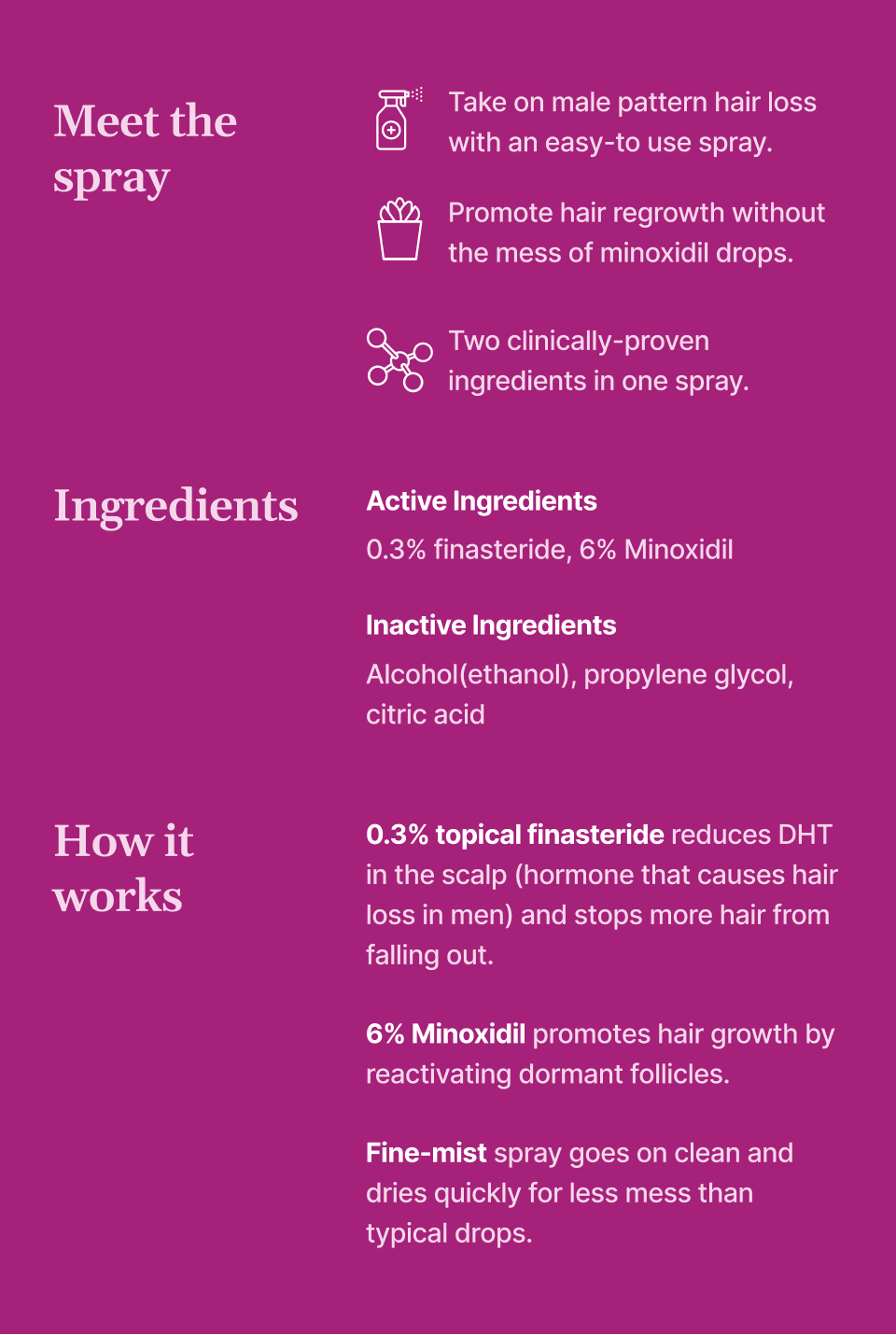 hair spray ingredients